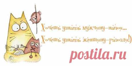 Воскресные картинки // ОПТИМИСТ