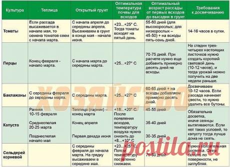 СРОКИ ПОСЕВА ТОМАТОВ, ПЕРЦЕВ, БАКЛАЖАНОВ И КАПУСТЫ: 

Ранние сроки посадки семян также вредны как и поздние. 

Таблица оптимальных посадок семян овощей на рассаду 

(тем более рассчитать сроки совсем не сложно для жителя любой климатической зоны):