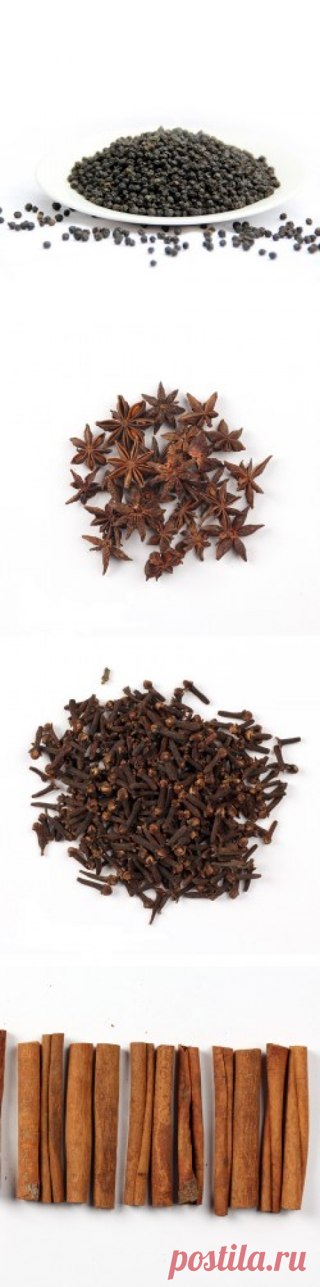 Купить специи в Москве | в интернет-магазине Шеф Орех