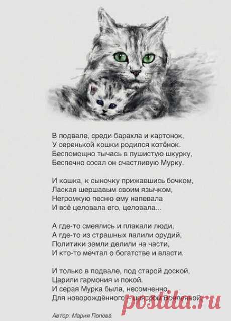 стихи