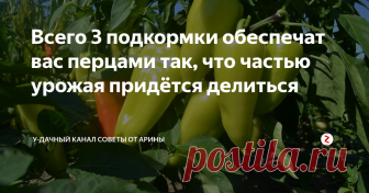 Всего 3 подкормки обеспечат вас перцами так, что частью урожая придётся делиться Скоро большинство огородников начнут пересаживать перцы на постоянное место роста. И вот тут надо знать правило о трёх необходимых подкормках. Советую взять блокноты и ручки чтобы законспектировать рецепты необходимых подкормок
Первая подкормка
Это подкормка проводится примерно через две недели после высадки перцев на постоянное место. В этот период роста перцам очень необходимы питательные микроэ
