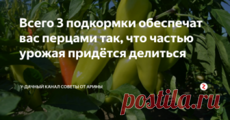 Всего 3 подкормки обеспечат вас перцами так, что частью урожая придётся делиться Скоро большинство огородников начнут пересаживать перцы на постоянное место роста. И вот тут надо знать правило о трёх необходимых подкормках. Советую взять блокноты и ручки чтобы законспектировать рецепты необходимых подкормок
Первая подкормка
Это подкормка проводится примерно через две недели после высадки перцев на постоянное место. В этот период роста перцам очень необходимы питательные микроэ