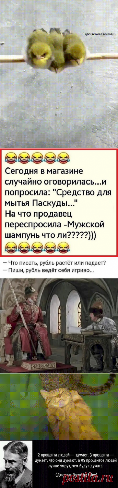 - Товарищи студенты, для охлаждения двигателя в новом танке применяется антифриз с температурой замерзания -300 градусов Цельсия. Вопросы есть? - Но ведь абсолютный нуль - это -273 градуса, ниже не бывает! - Кто это вам сказал? - Наши профессора. - Я вам еще раз повторяю: танк новый, секретный, ученые о нем пока ничего не знают! - Выпуск №2566