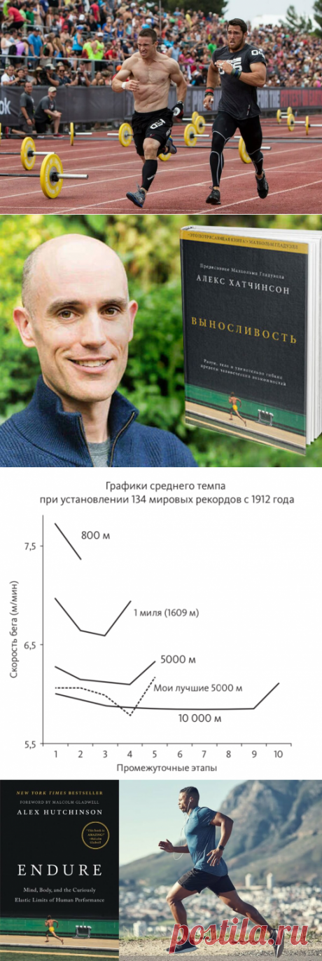 Вся правда о том, почему бегуны ускоряются на последнем круге и что мешает им ускориться раньше
Всем привет, уважаемые читатели! Исследования показывают: на беговых соревнованиях последний круг, как правило, получается самым быстрым. Спортсмены выкладываются по полной. Что мешает им ускориться раньше?   источник фото — открытые источники Алекс Хатчинсон — бывший бегун на длинные дистанции в...
Читай дальше на сайте. Жми подробнее ➡