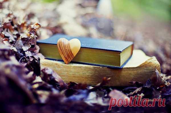 10 книг над которыми плакал весь мир!
10 книг над которыми плакал весь мир! 1. Эрих Мария Ремарк — «Три товарища» Эрих Мария Ремарк вошёл в литературу как автор книг о судьбе «потерянного поколения». Это были правдивые, основанные на опыте самого писателя, истории о молодых людях, прошедших ужасы мировой войны. «На Западном фронте без перемен», наряду с романами Э. Хеммингуэя, Р. Олдингтона […]
Читай пост далее на сайте. Жми ⏫ссылку выше