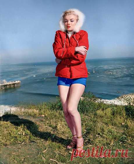 49638189452_44196fc53d_c.jpg (653×800)