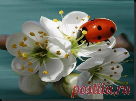 s-2362.jpg (960×716)