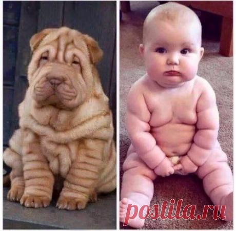 #вдохновение цвета