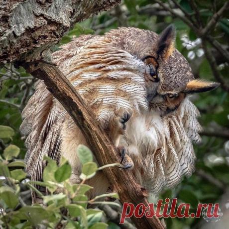 Вот это кадр!