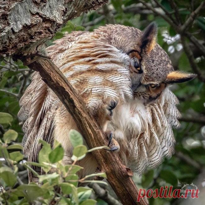 Вот это кадр!