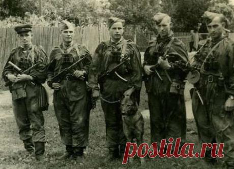 Подборка фотографий советских военнослужащих охотившихся на бандеровцев в конце 40-х годов
