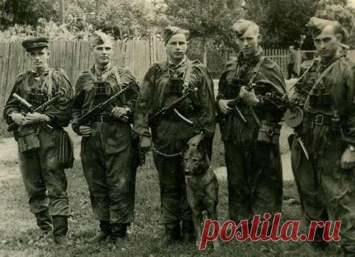 Подборка фотографий советских военнослужащих охотившихся на бандеровцев в конце 40-х годов