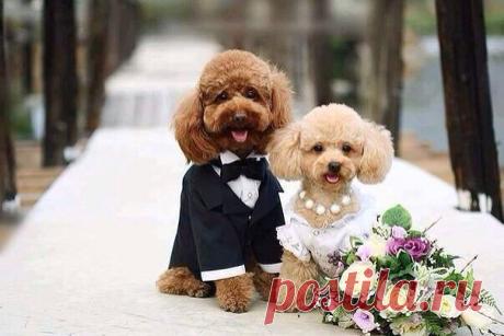 Красивые Цветы  Для Тебя