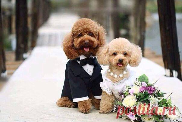 Красивые Цветы  Для Тебя