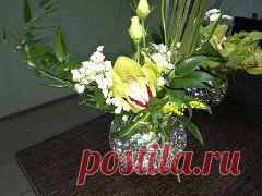 (84) Одноклассники