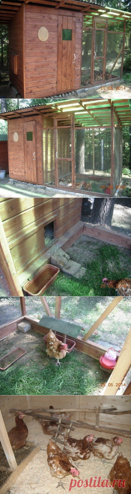 Курятник на дачном участке