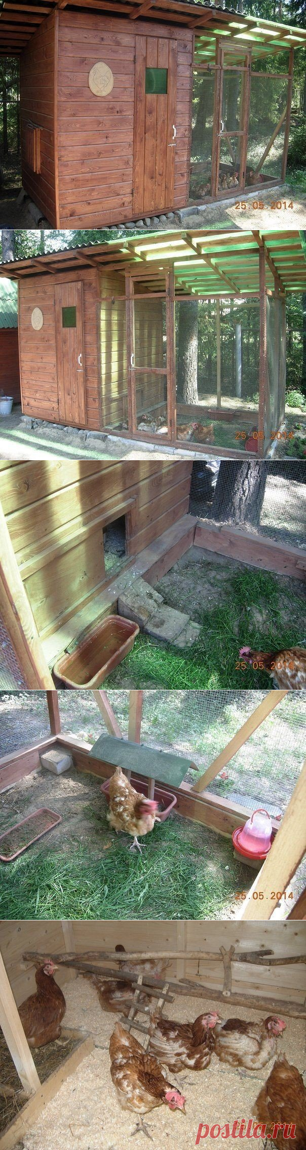Курятник на дачном участке
