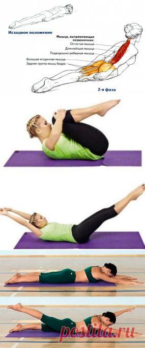 Упражнения, которые исправят вашу осанку — Всегда в форме!