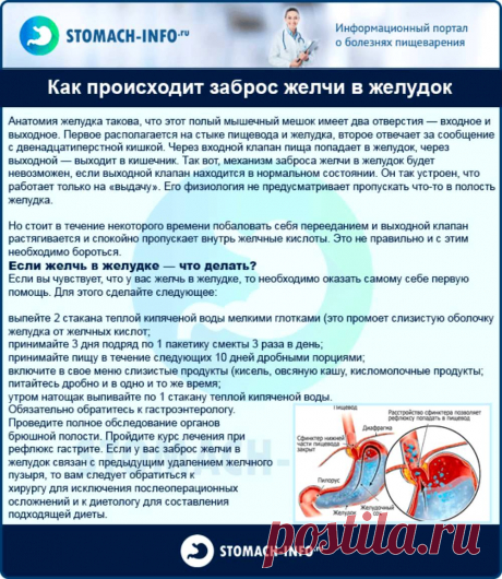 Как происходит заброс желчи в желудок