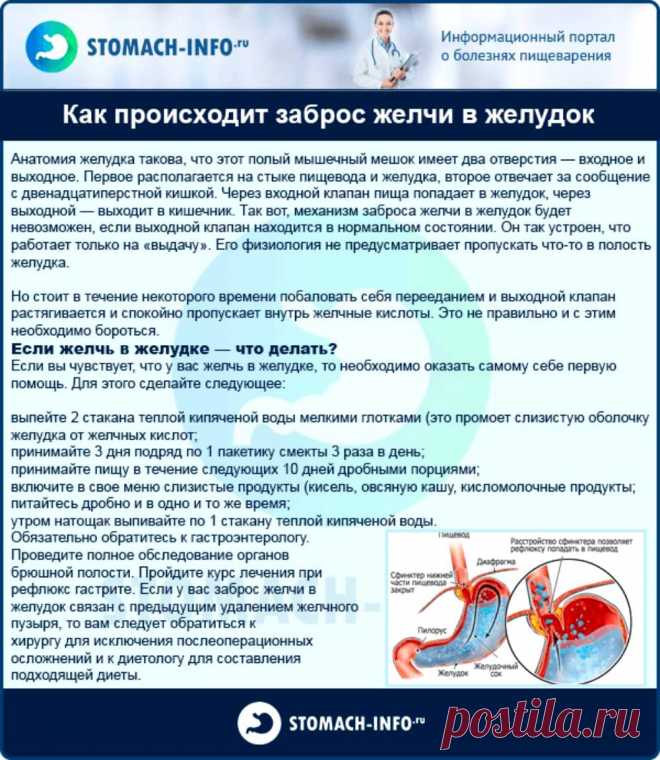 Как происходит заброс желчи в желудок