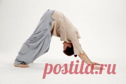 Упражнения “5 тибетцев”— всего 15 минут в день для Вашей отличной формы | Golbis