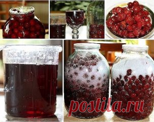 САМЫЕ ВКУСНЫЕ ЛИКЕРЫ - 2 супер рецепта
1. ВИШНЕВЫЙ ЛИКЕР
2. КЛУБНИЧНЫЙ ЛИКЕР
1. ВИШНЕВЫЙ ЛИКЕР
Для приготовления вишневого ликера применяются полностью вызревшие ягоды вишни, причем вместе с косточкой. Примечательно то, что при настаивании ядро косточки дарит напитку горьковатый привкус наряду с ароматом миндальных орехов.
Состав: вишня 3 кг. сахар 2 кг. водка 1 литр.
Приготовление: созрела вишня. Отбираем самую вкусную, самую зрелую. Моем перебираем – испорченных ягод не должно быть.
Засыпае