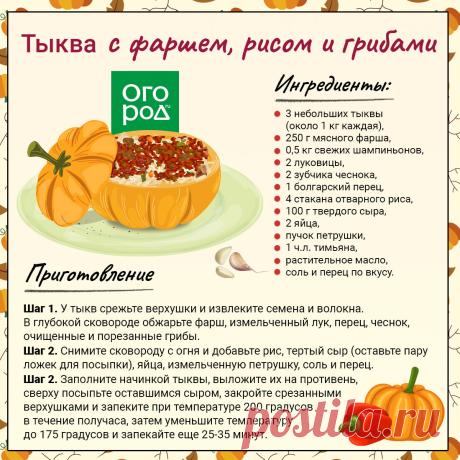 Тыква с фаршем, рисом и грибами
