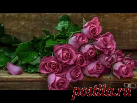 Ирина Аллегрова- Цветы Без Повода - Монтаж Светлана Левина