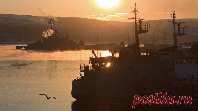В портах Ленинградской области ввели режим повышенной готовности. Режим повышенной готовности ввели на территориях морских гаваней, расположенных в Ленинградской области. Причиной послужила угроза атак украинских беспилотных летательных аппаратов (БПЛА), сообщается на сайте Администрации морских портов ...