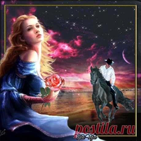 Анимационные открытки Лошади, кони, жеребята. Анимационные картинки в формате gif для гостевых книг и блогов с кодами