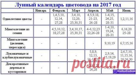Посевной календарь огородника на 2017 год