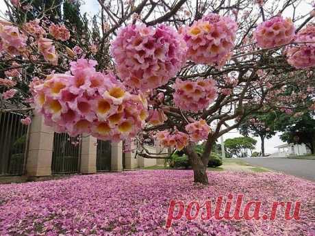 ЛоЗа/ПыЛь* Граф: Нашедшему смысл жизни, просьба руками не трогать и не перепрятывать!