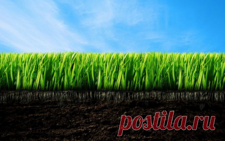 Как сделать почву плодородной :: Сад и огород