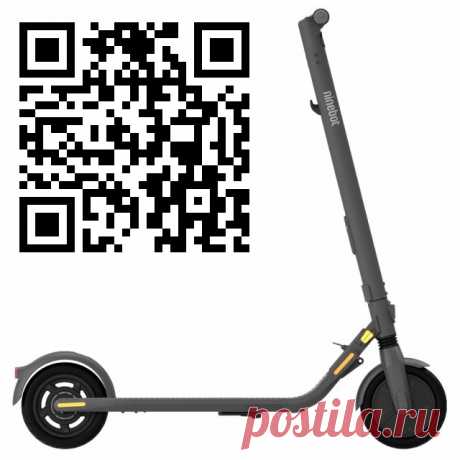 Ninebot KickScooter E25A