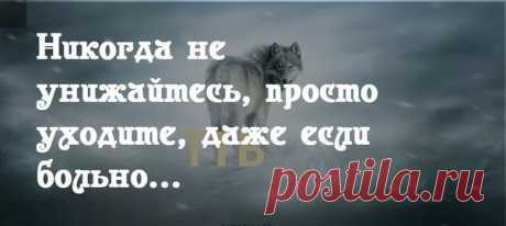 (3) Мой Мир@Mail.Ru
