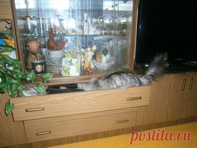 а что здесь???