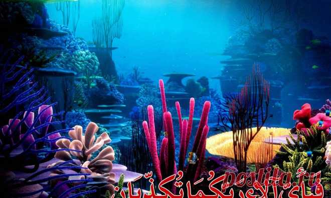 мультяшное морское дно: 19 тыс изображений найдено в Яндекс.Картинках