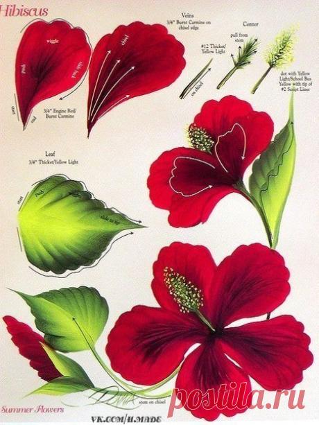 Рисование одним мазком. Уроки в картинках / Мир Дизайна