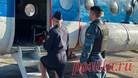 Приставы арестовали кедровые орехи, которые собрал спрятавшийся в глухой тайге алиментщик. В Кемеровской области судебные приставы прилетели к должнику в глухую тайгу на вертолете и арестовали собранные им кедровые орехи. Об этом сообщили в пресс-службе ГУ ГУФССП России по Кузбассу. Неплательщик алиментов, задолжавший бывшей ...