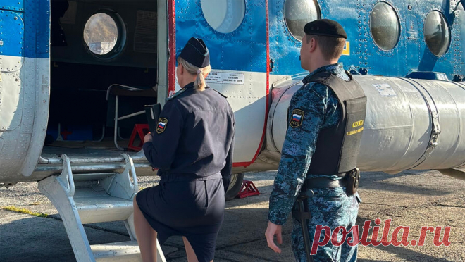 Приставы арестовали кедровые орехи, которые собрал спрятавшийся в глухой тайге алиментщик. В Кемеровской области судебные приставы прилетели к должнику в глухую тайгу на вертолете и арестовали собранные им кедровые орехи. Об этом сообщили в пресс-службе ГУ ГУФССП России по Кузбассу. Неплательщик алиментов, задолжавший бывшей ...