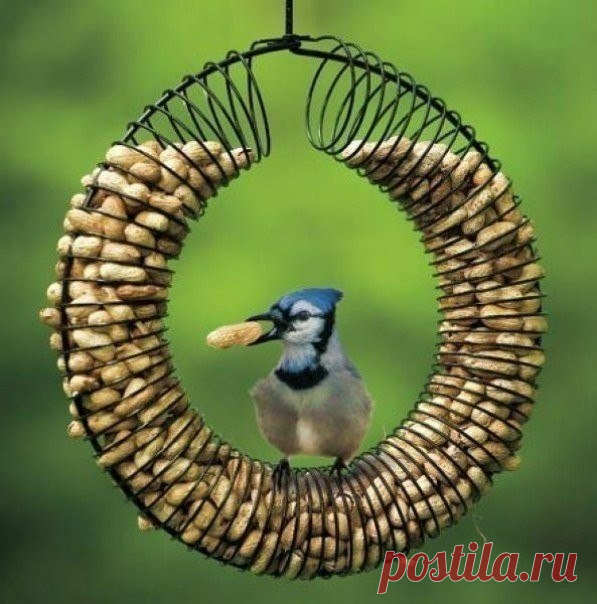 Необычные кормушки — Сделай сам, идеи для творчества - DIY Ideas