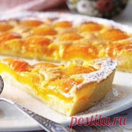 6 РЕЦЕПТОВ ВКУСНЫХ ПИРОГОВ С АБРИКОСАМИ