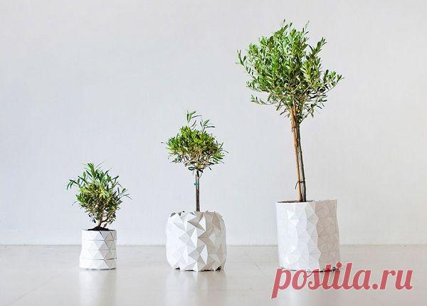 Сам себе мастер: Цветочные горшки, которые сами увеличиваются