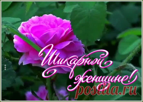 Открытка шикарной женщине