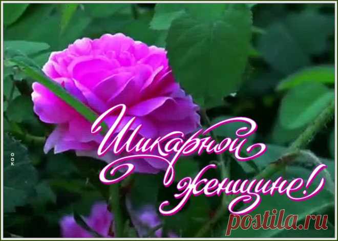 Открытка шикарной женщине