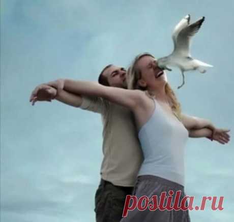Животные