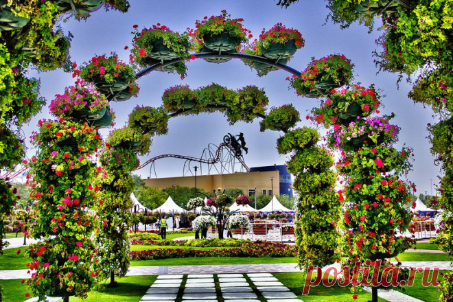Dubai Miracle Garden - цветочное царство среди пустыни!
