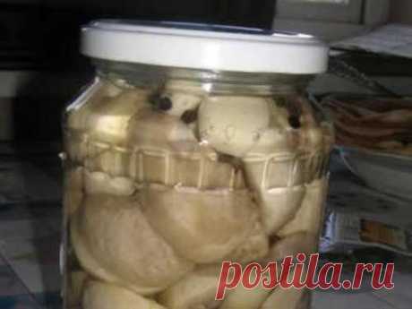 Готовим грибы на зиму