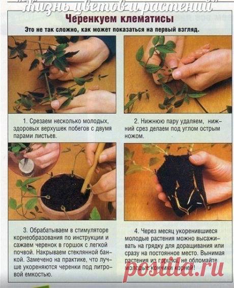 Новости