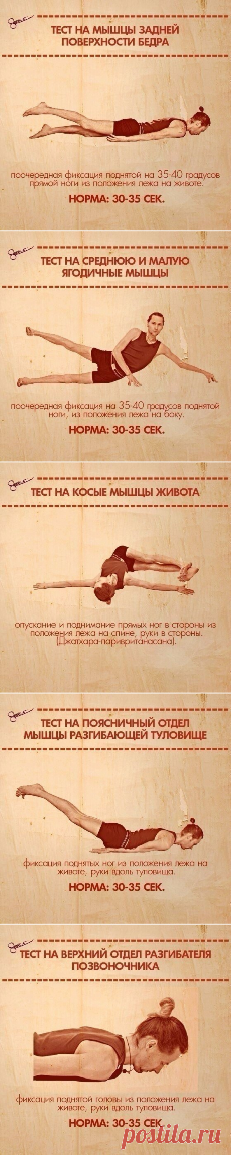 ТЕСТЫ НА ФУНКЦИОНАЛЬНУЮ СЛАБОСТЬ МЫШЦ